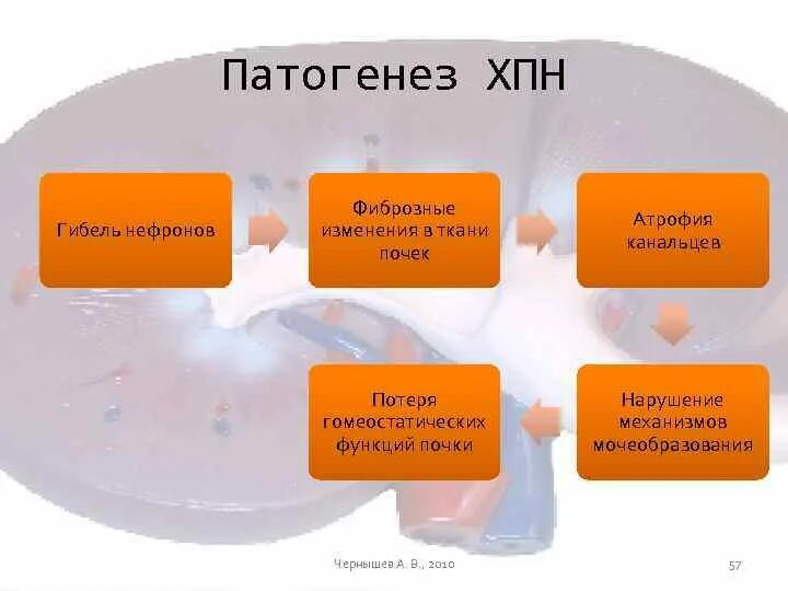 Хроническая болезнь почек патогенез схема. Механизм развития хронической почечной недостаточности. ХБП механизм развития. Хроническая почечная недостаточность этиология патогенез. Патогенез почки