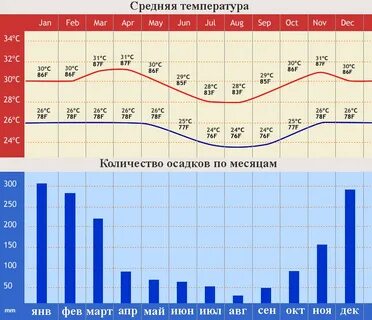 Дожди на бали по месяцам