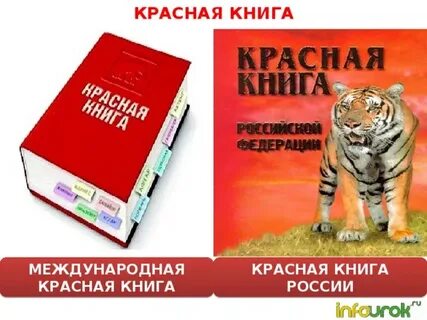 Международная красная книга рабочий лист 4 класс