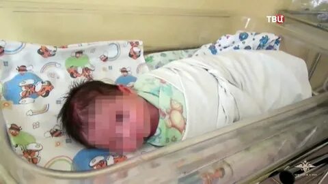 Родила и оставила в лесу фроська