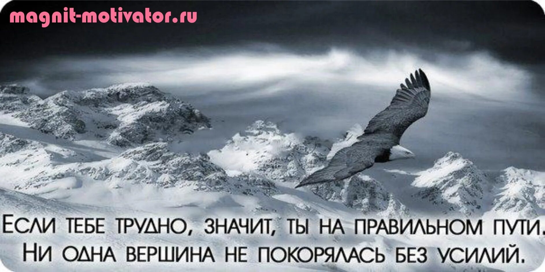 Не по пути все как то
