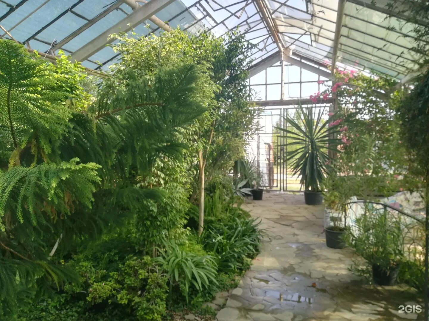Ботанический сад волгоград краснооктябрьский. Волжская оранжерея ботанический сад. Оранжерея волгоград краснооктябрьский район. Волжская оранжерея ботанический сад. Ботанический сад в волжском.