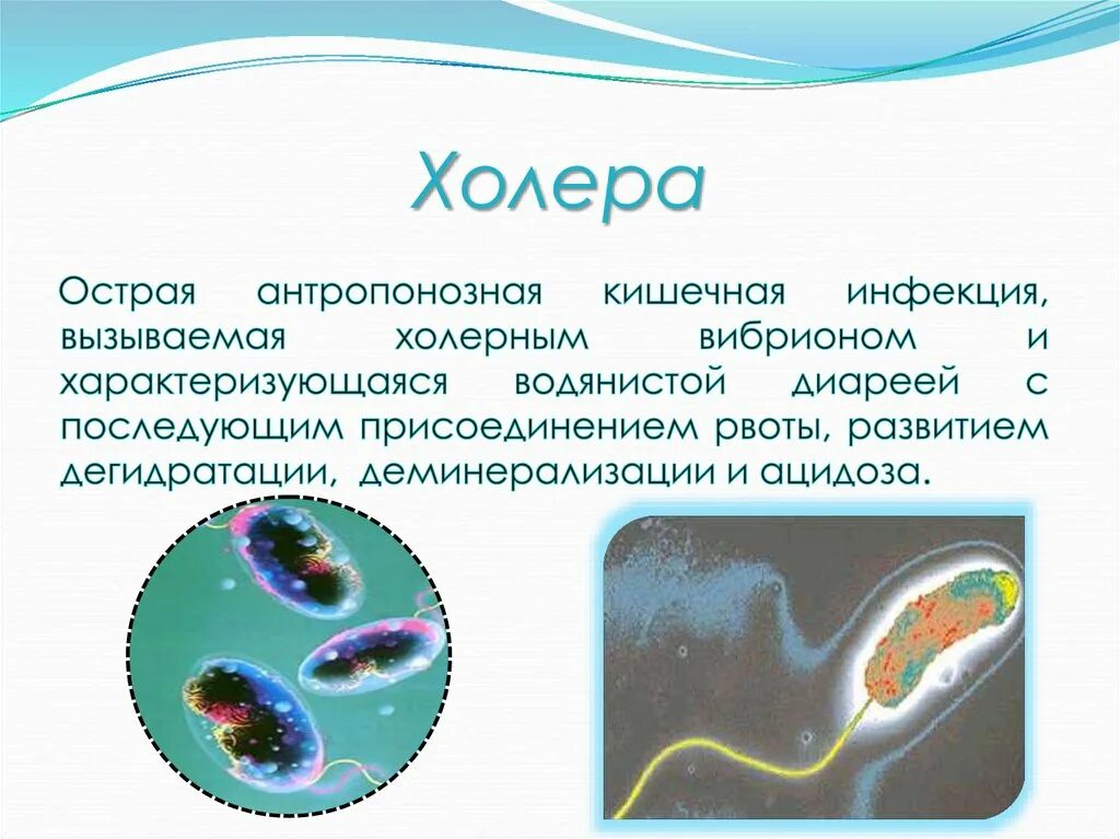 Заражение воды холерой в россии 2024. Холера этиология. Холера бактериальное заболевание. Холера презентация инфекционные болезни.