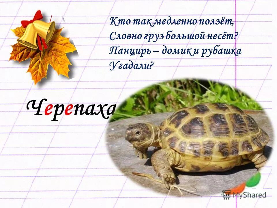 Очень медленно предложение