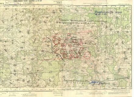 Стрелковая дивизия 1941 г
