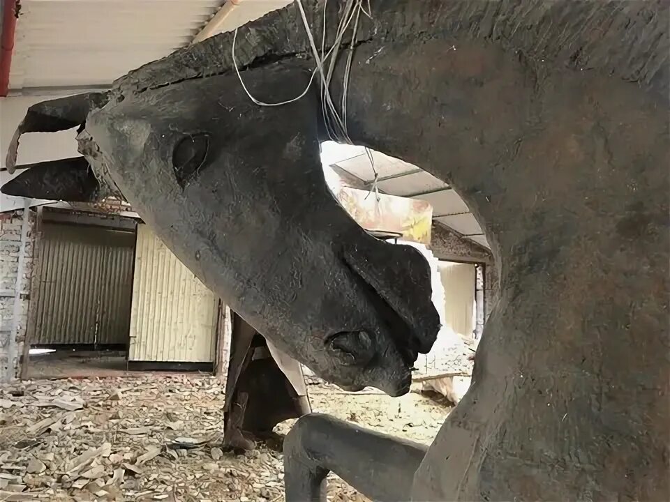 Женщин помещали в коня. Статуи диоскуров в петербурге. Петушкова конный спорт. Эфиопский всадник. Скульптуры коней в москве.
