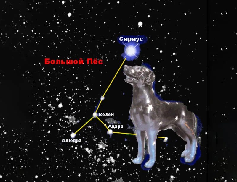 Сириус звезда какого созвездия. Звезда Сириус в созвездии пса. Самая яркая звезда в созвездии большого пса. Сириус большой пес. Орион + большой пёс (Сириус).