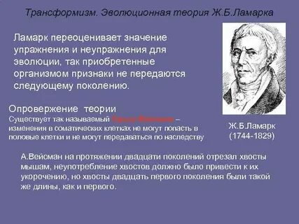 Что такое трансформизм
