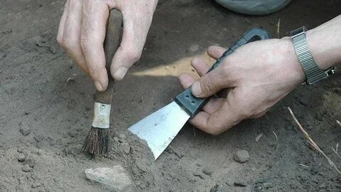 Что могут узнать археологи с помощью