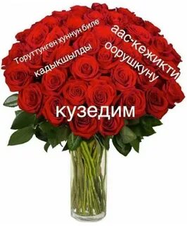 Төрүттүнген хүнүң биле
