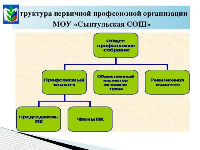 Профсоюзная организация обучающихся. Структура профсоюза. Структура профсоюзной организации. Структура профсоюзного комитета. Состав профкома.