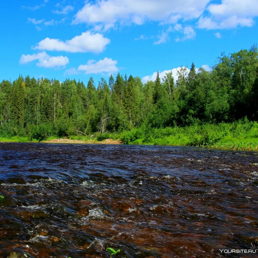 Порожистая река. Природа Архангельской области. Звуки природы. Река шумней.