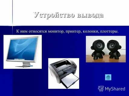 К какому типу устройств относится монитор