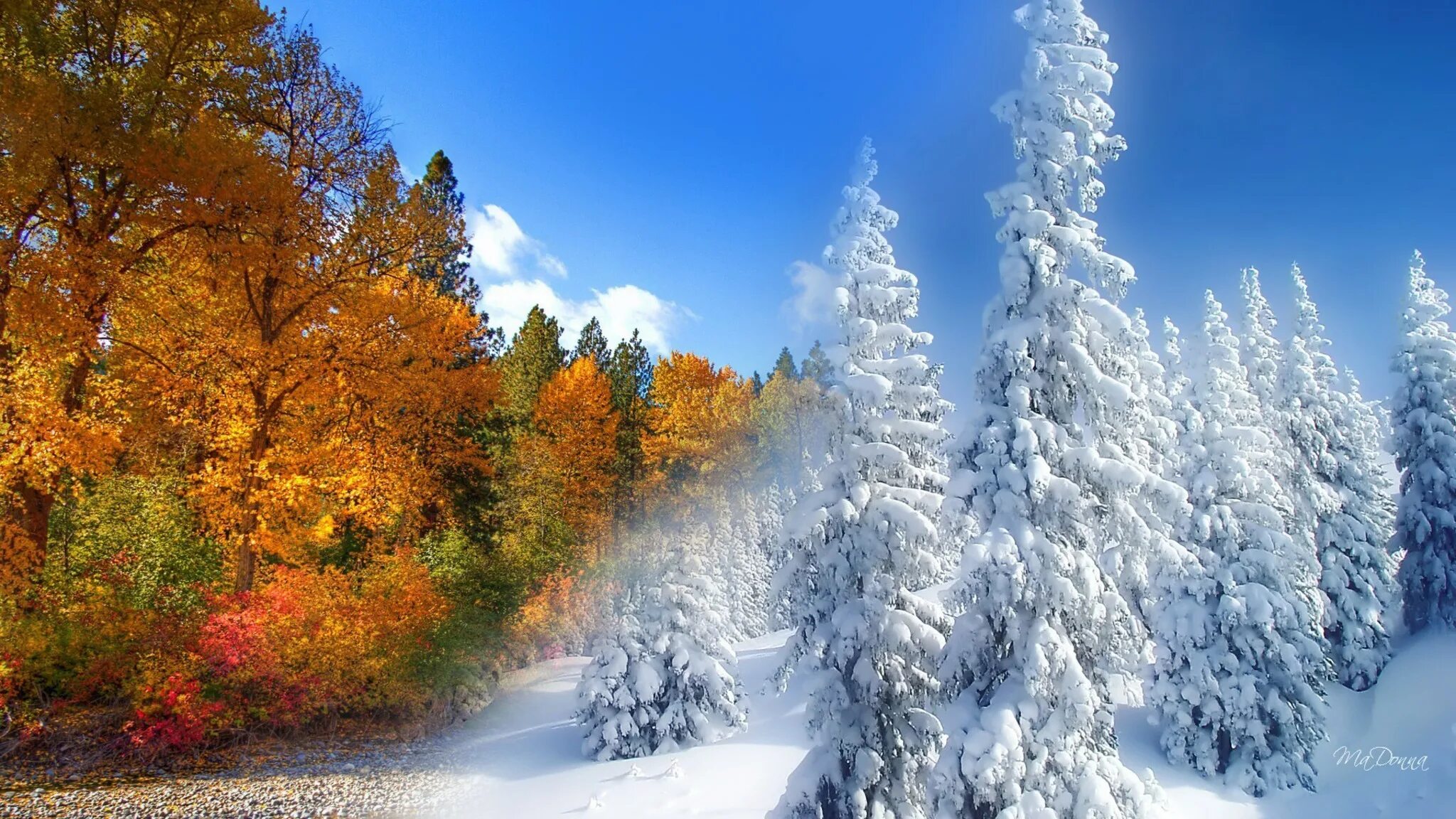 Снежная зима к какому лету. Осень зима. Зимняя природа. Декабрь природа. Красивая зима.