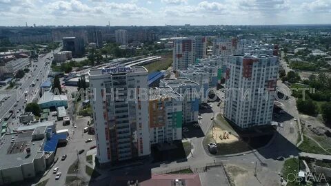 Елизаветинская 1