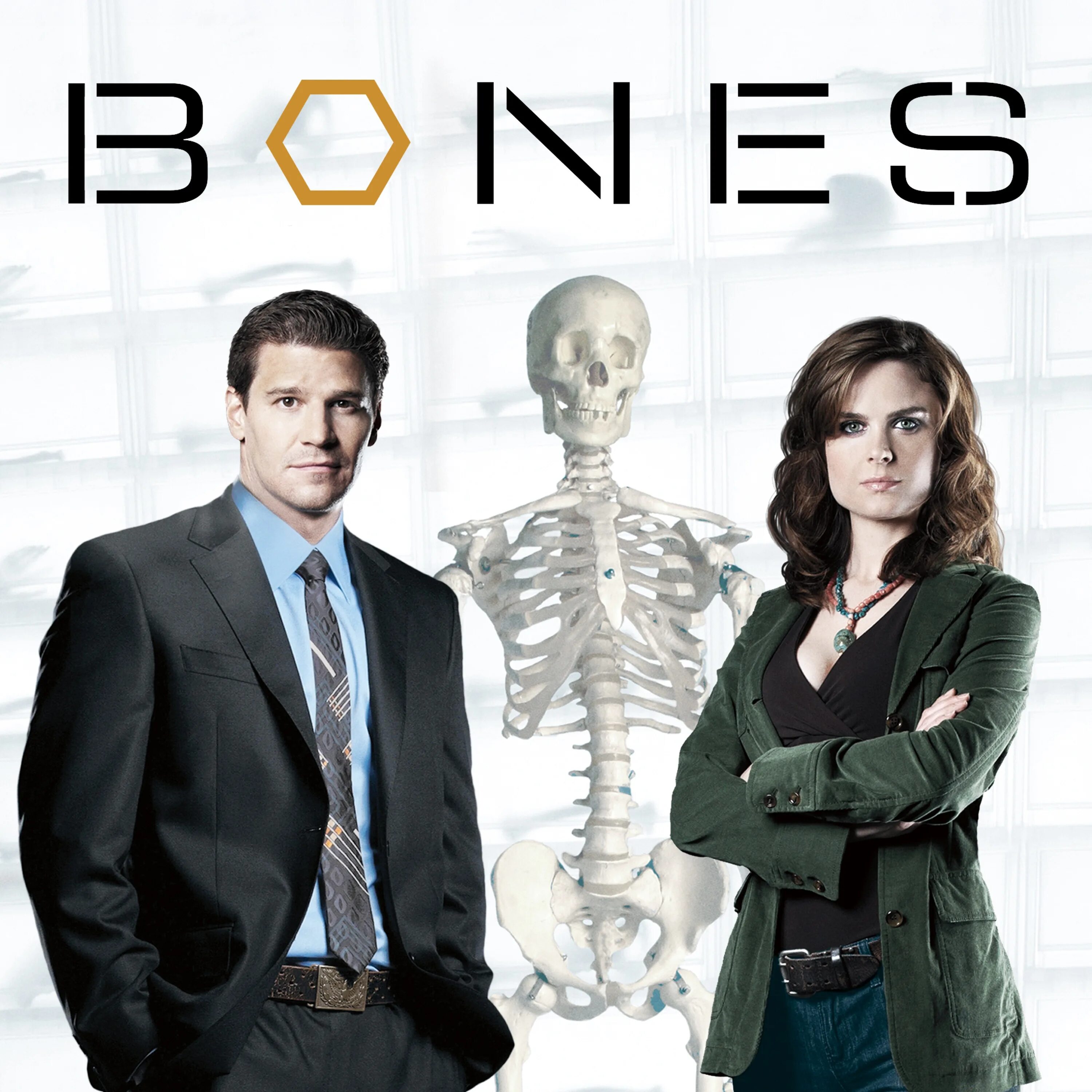 Кости 1. Bones обложка. Bones series