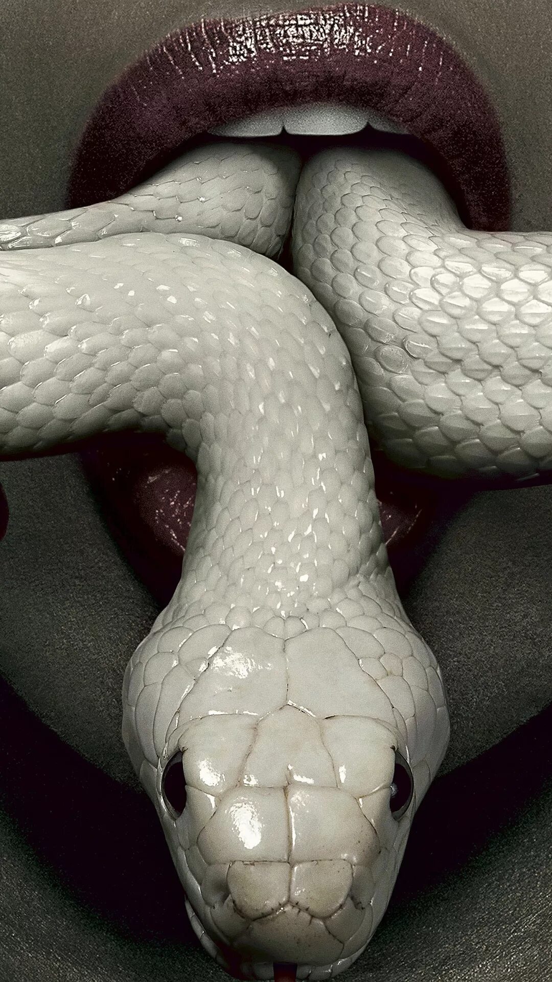 Змей на заставку телефона. Змеи. Белая змея. Морда змеи. Змеи белые.