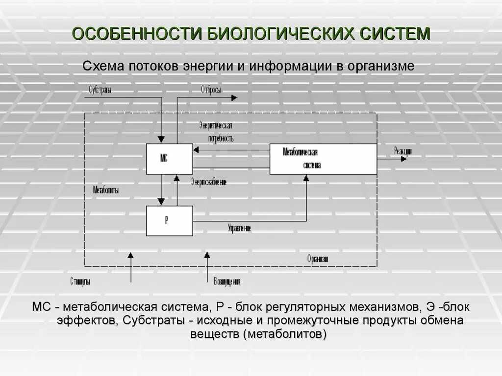 Биологические системы используют. Особенности биологических систем. Схема управления в биологической системе. Схема потоков энергии и информации в организме. Биологические системы примеры.