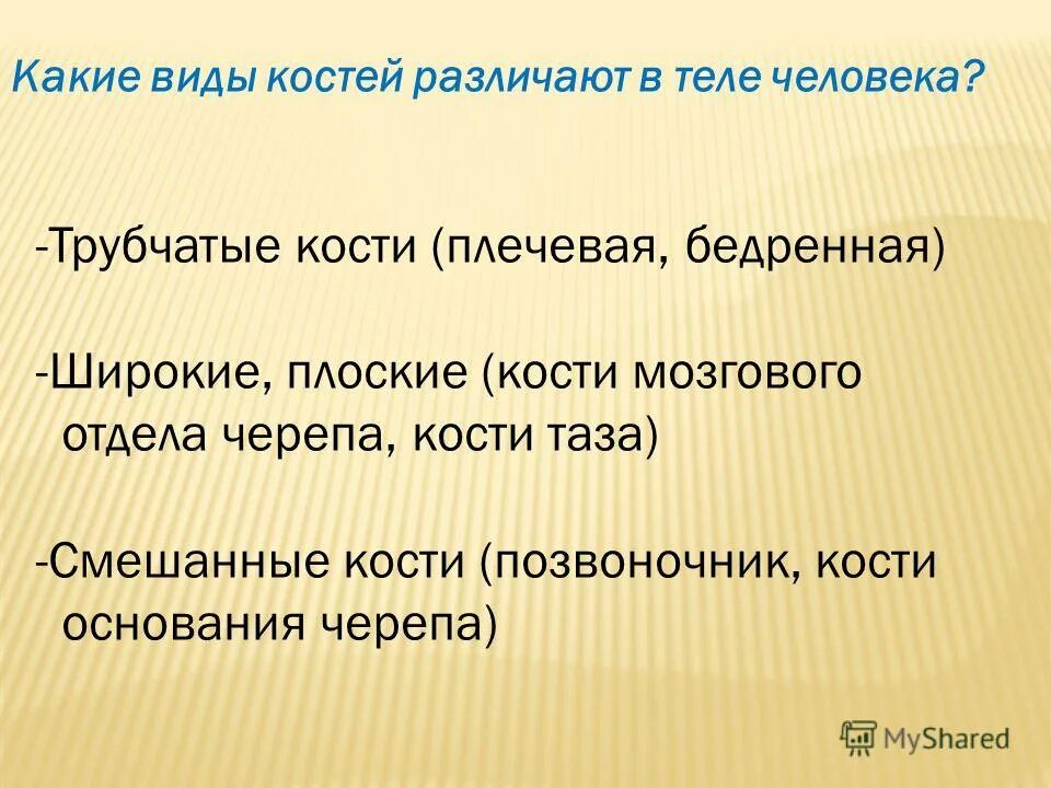 Отличия скелета человека от млекопитающего. Отличие скелета человека от скелета млекопитающих.