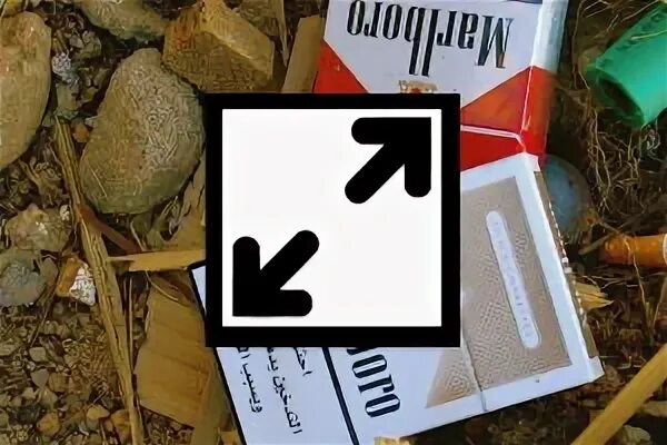 Что нельзя вывозить из египта
