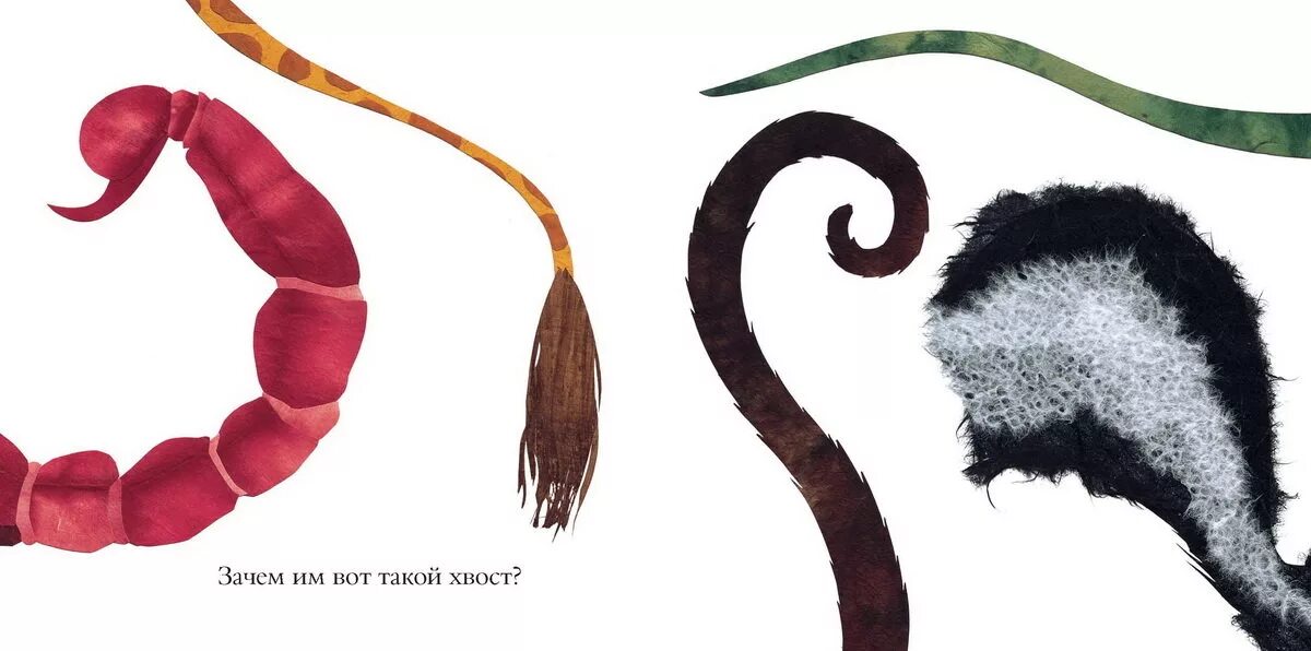 белка дегу хвост. хвост льва. кисточка на конце хвоста у льва. кисточка на конце хвоста. хвост с кисточкой.