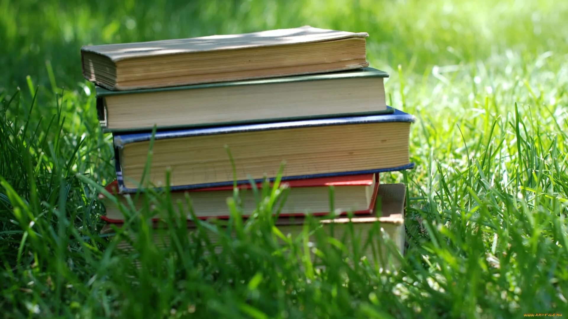 Покупка новой книги. Стопка книг. Чтение на природе. Книга на траве. Лето с книгой.