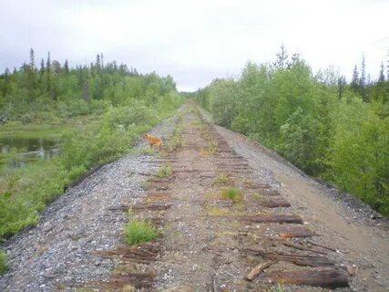 Область 2008
