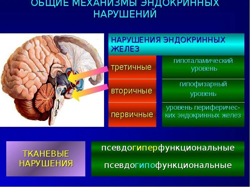 Эндокринные нарушения организма. Нарушение функций эндокринных желез. Заболевания связанные с нарушением эндокринной системы. Заболевания желез внутренней секреции. Заболевания связанные с нарушением работы эндокринных желез.