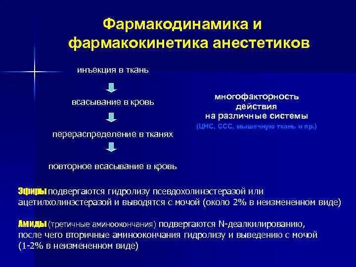 Эффект анестетика. Фармакокинетика местных анестетиков. Местноанестезирующие средства Фармакодинамика. Фармакокинетика и Фармакодинамика местных анестетиков. Фармакокинетика местноанестезирующих средств.