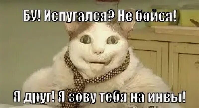 Ее взгляд испугал его но все таки. Ее взгляд испугал его но все таки