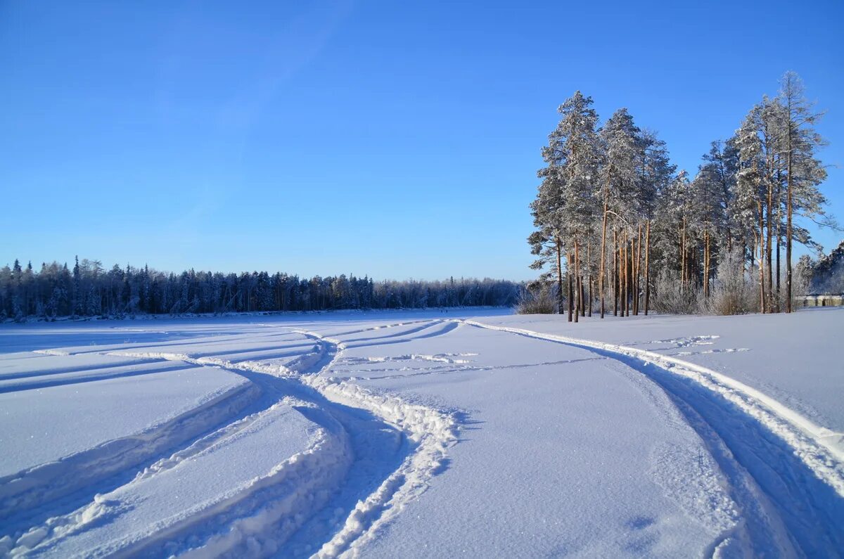 Зимняя дорога фото. Зимний лес шоссе. Тегульдет зимняя дорога. Фото зимней дороги.