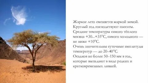 Жаркое лето в африке