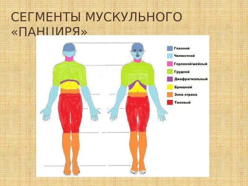 Телесные зажимы. Блоки в теле человека. Блоки и зажимы в теле. Телесная терапия блоки. Телесно-ориентированная терапия схема.