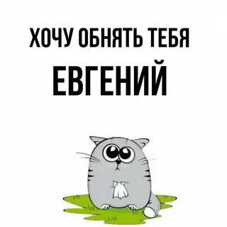 Покажи картинку хочу