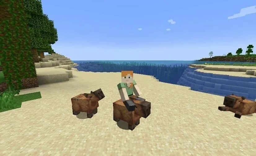 Скин на капибару в майнкрафте. 12. Мод на капибару майнкрафт. Мод на капибару майнкрафт. 20 1.