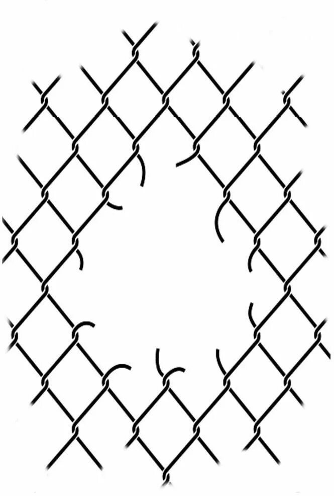 Что значит сетчатый