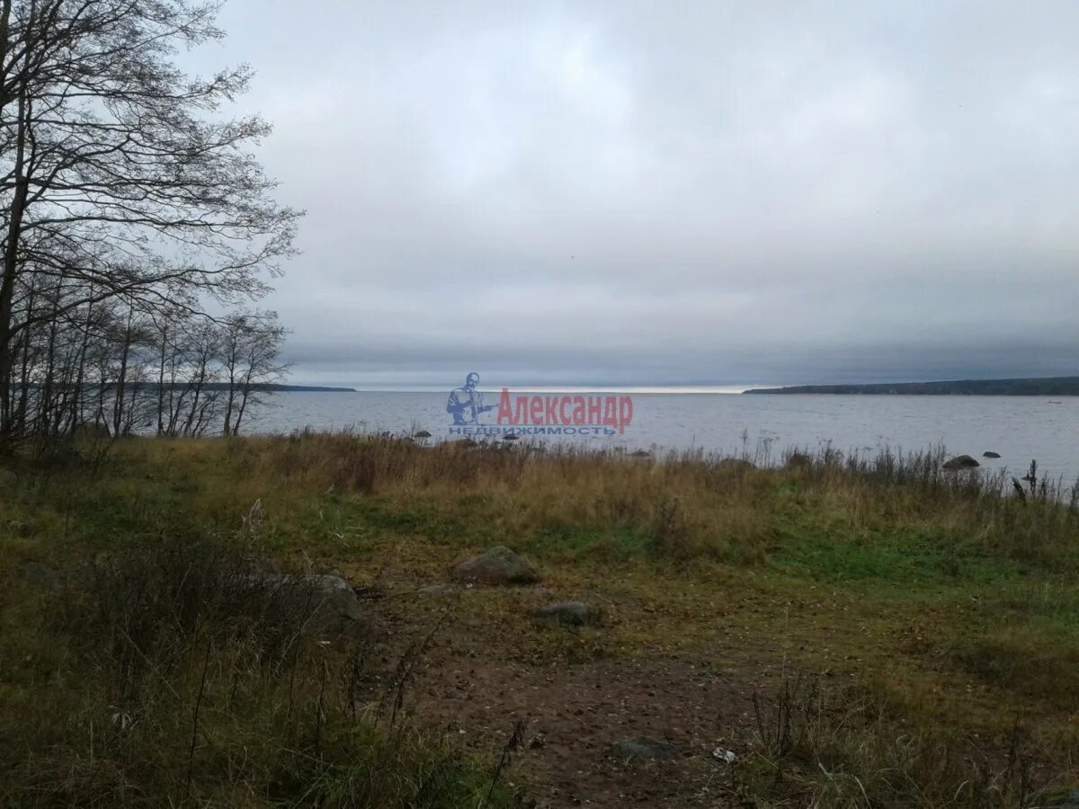 Приморск трибуна. СНТ трибуна. База отдыха Манола Приморск Ленинградская область.