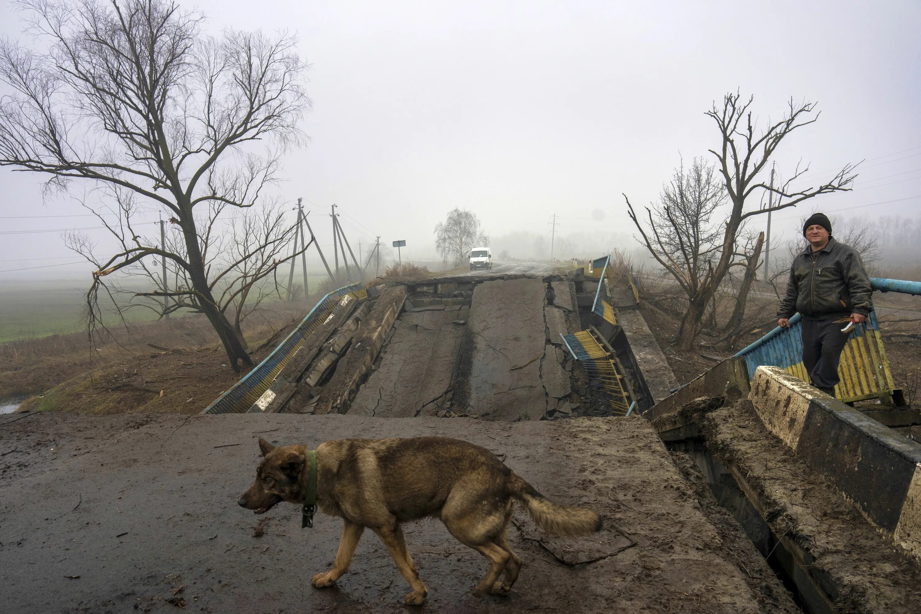 Животные на войне на Украине. Украинский зверь.