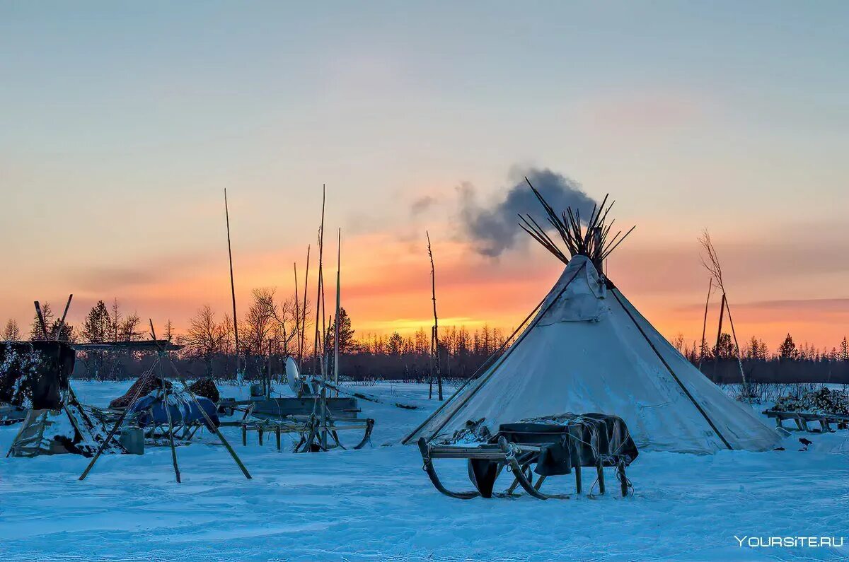 Чум зимой. Жилище ненцев чум. Чум ненцев в тундре. Ханты манси оленеводы. Чум ненцы ханты.
