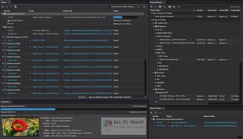 Adobe media encoder 2024
