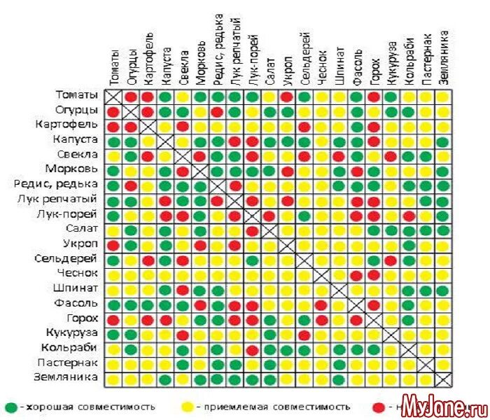 совместимость растений на грядке. соседство яблони. соседство овощей на грядках таблица. совместимость посадки плодовых деревьев и кустарников в саду. соседство отзывы.