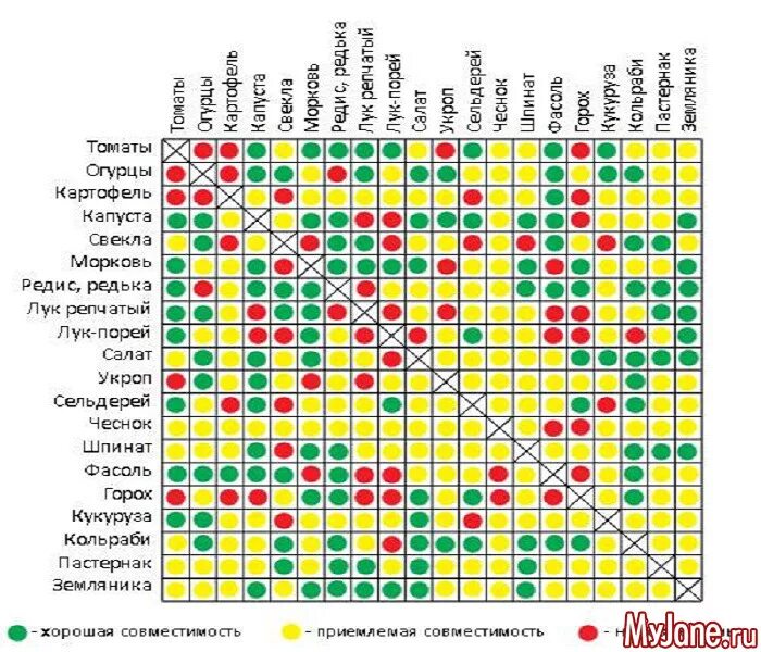 Таблица соседства на грядках. Совместимость растений. Таблица совместимости огородных культур. Соседство овощей и ягод на огороде. Таблица совместимости овощей.