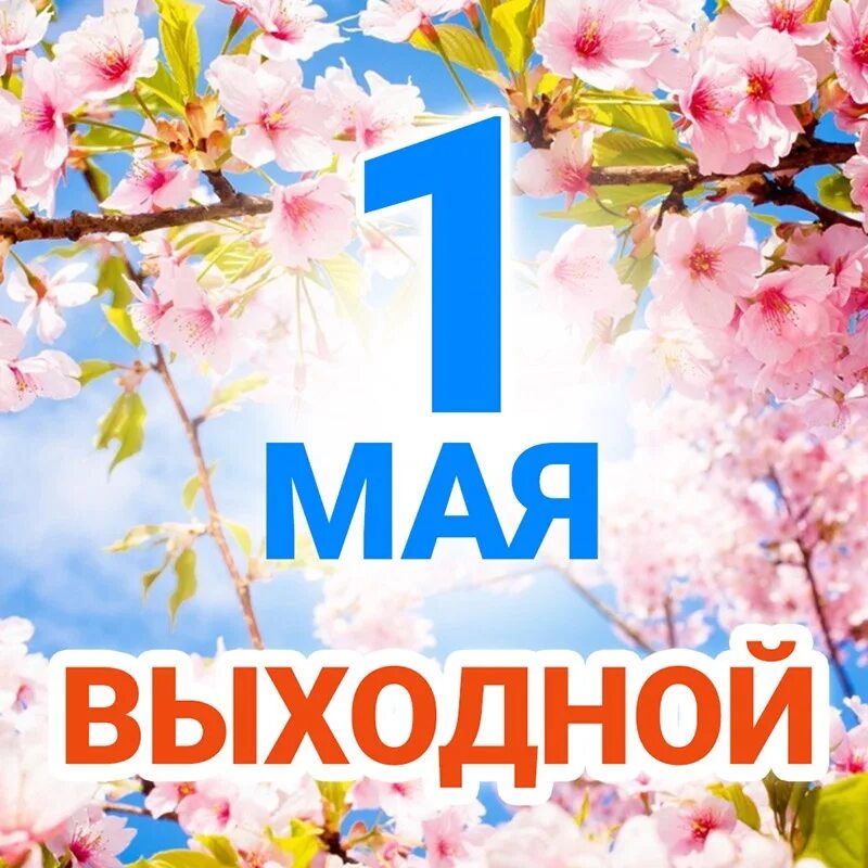 Как работаем в майские выходные 2025