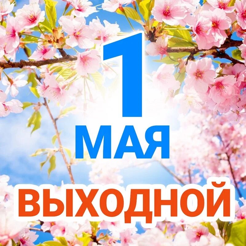 1 Мая выходной. 2 Мая выходной. С праздником 1 мая здоровья. 1 Мая выходной день объявление. Майские выходные 2024 в беларуси