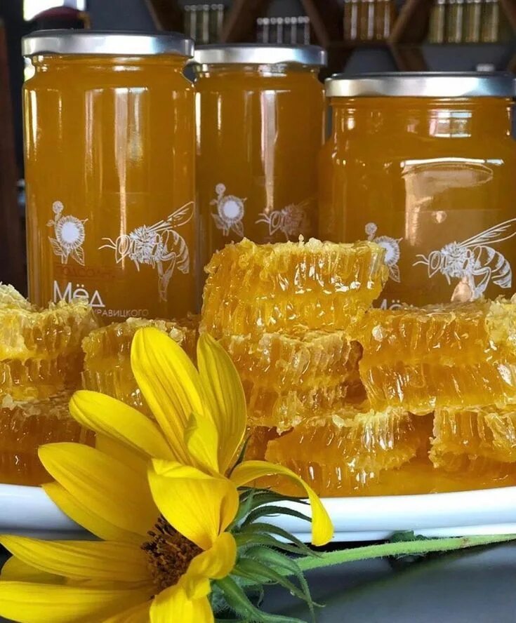 Мед подсолнух. Мёд подсолнечный. Мед пасека. Мёд в сотах. Подсолнуховый мед.