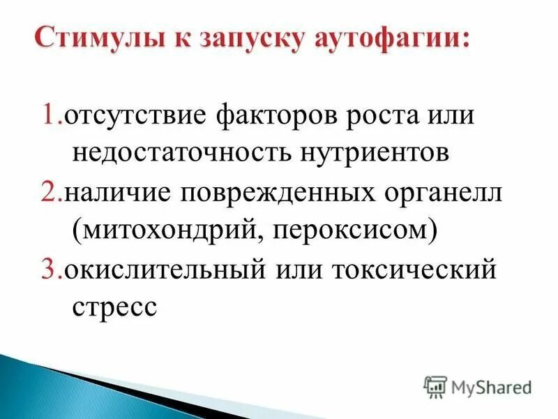 Аутофагия как правильно запустить. Аутофагия как правильно запустить