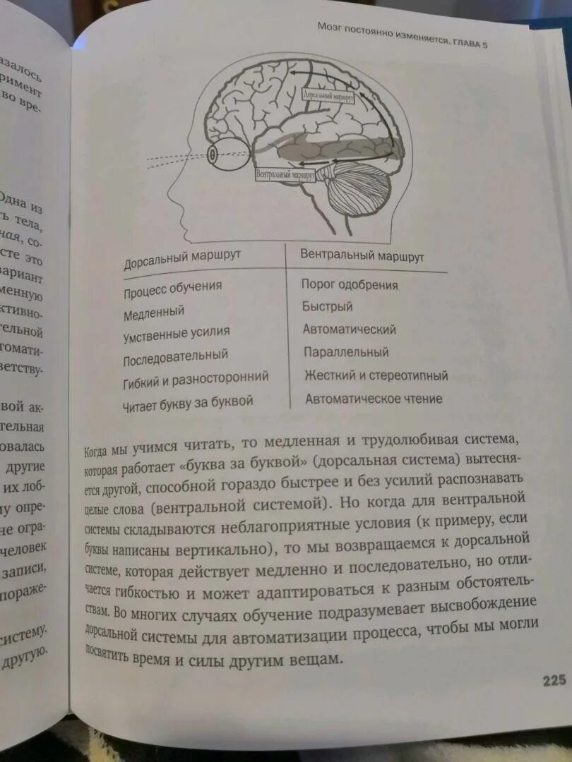 Тайная жизнь мозга Мариано Сигман. Тайная жизнь мозга книга. Новая жизнь мозга книга. Тайная жизнь мозга книга купить.