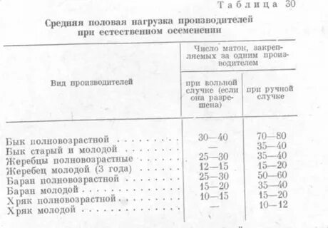 Норма времени полового акта