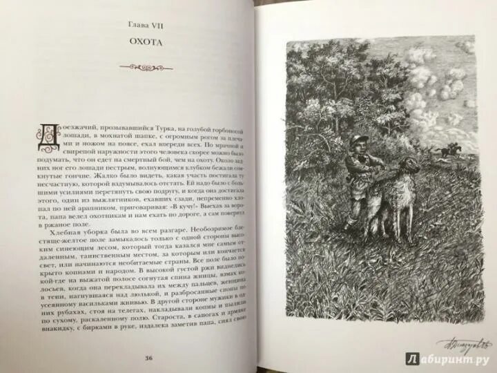Детство л н толстого по главам. Отрочество иллюстрации. отрочество толстой главы. отрочество толстой иллюстрации. иллюстрации к повести детство толстого.