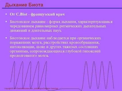 Дыхание биота